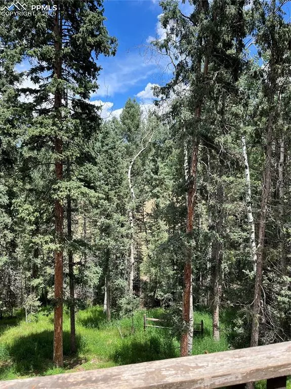 Divide, CO 80814,70 Cradle Lake PL