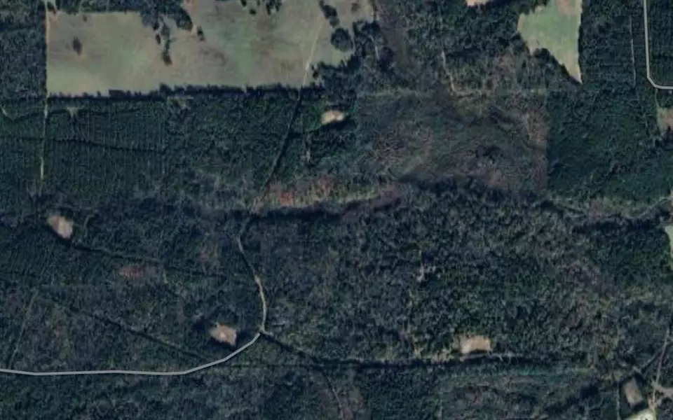 TBD County Road 2142, Tatum, TX 75691