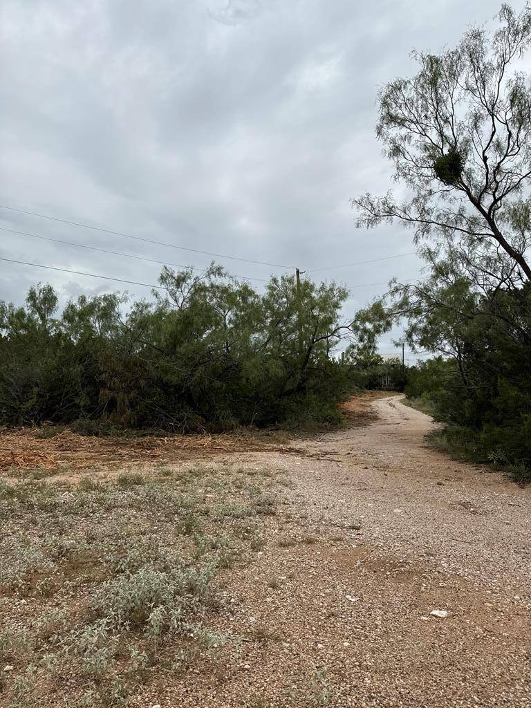 816 Marina Ln, Robert Lee, TX 76945