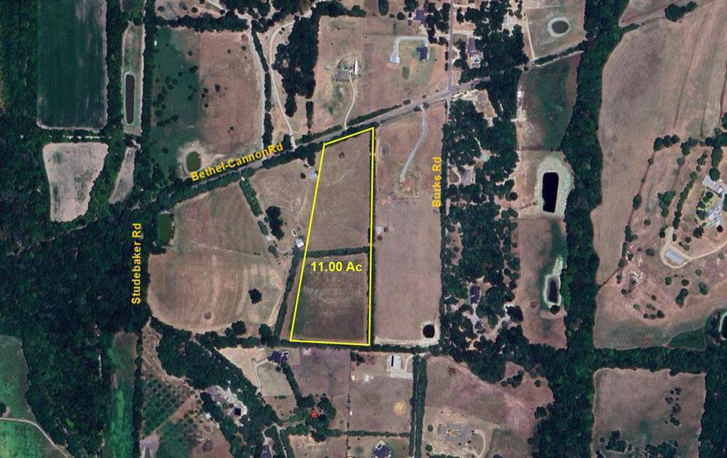 Whitewright, TX 75491,TBD Bethel-Cannon Road