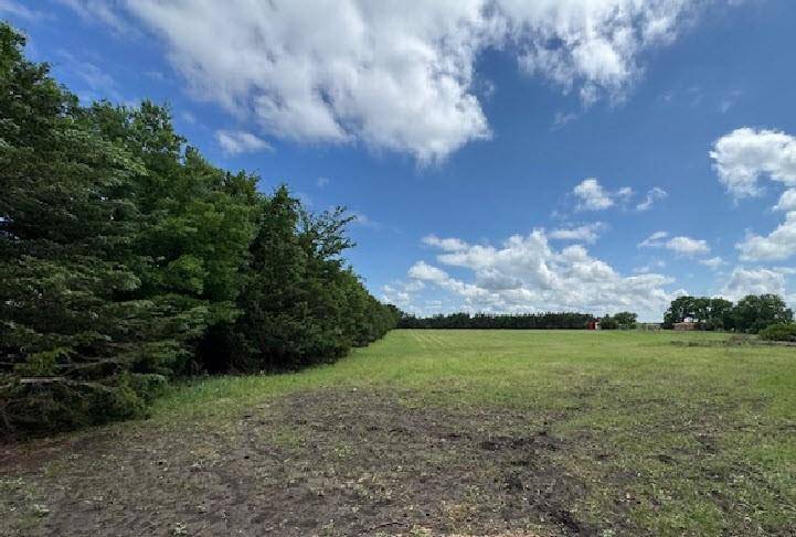 Whitewright, TX 75491,TBD Bethel-Cannon Road