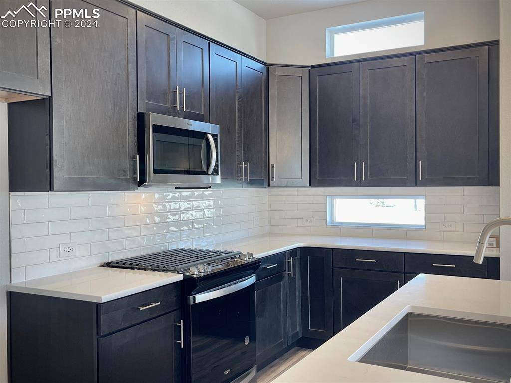 Monument, CO 80132,17569 Cerberus CT