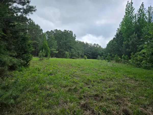 Overton, TX 75684,500 Uren Lee Road