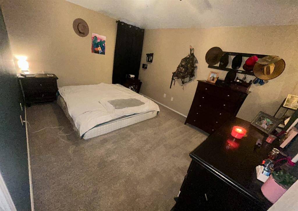 Fort Worth, TX 76028,1320 Meadow Rose Trail