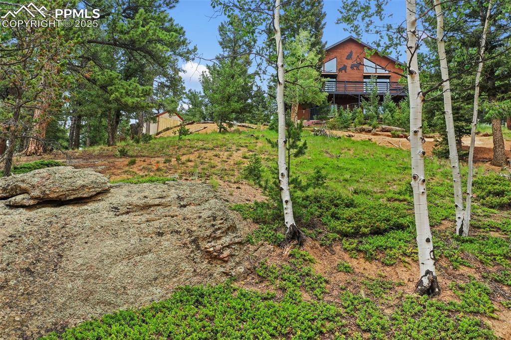 Florissant, CO 80816,104 Mt Elbert DR