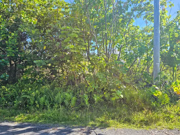 Keaau, HI 96749,KUKANE RD