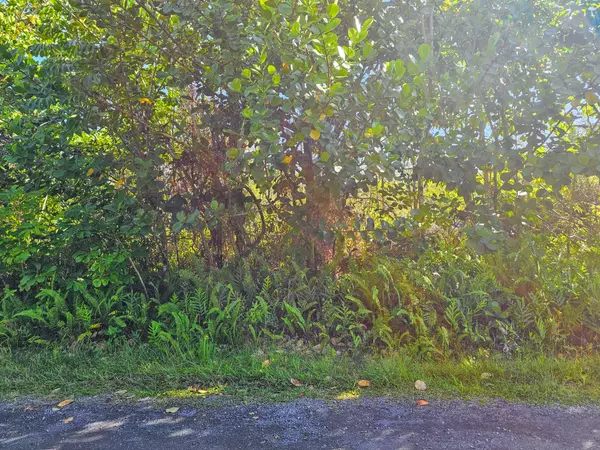 Keaau, HI 96749,KUKANE RD