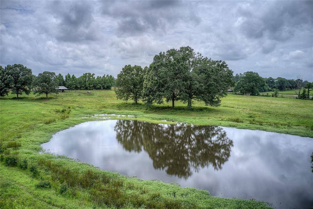 Quitman, TX 75783,470 County Road 4930
