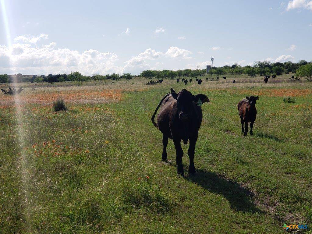 Lampasas, TX 76550,Lot 4 County Road 1255