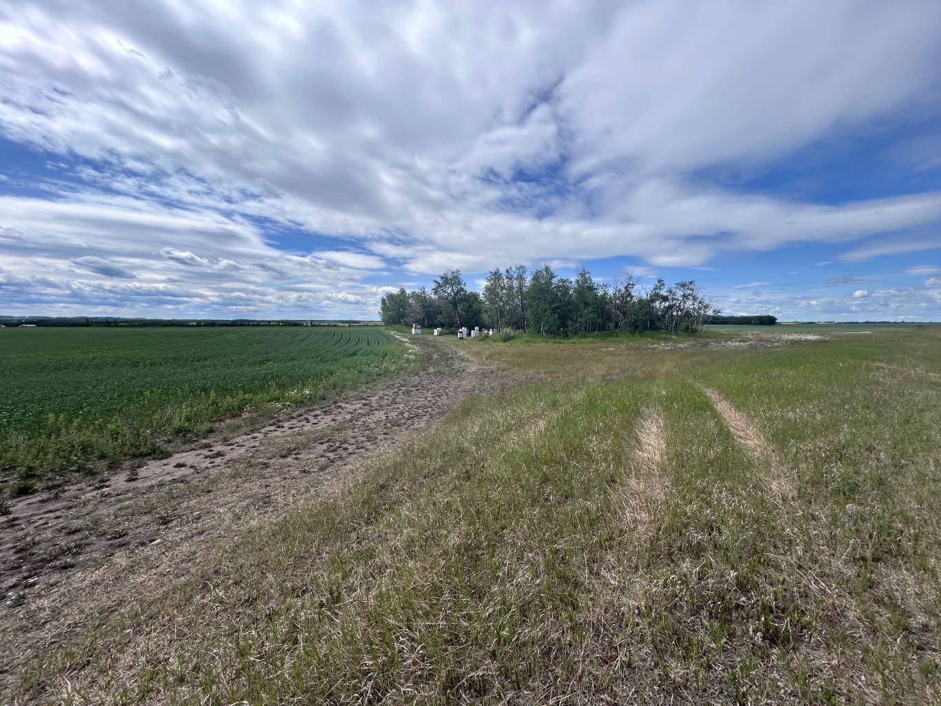 SE-15-73-5-W6 Range Road 52, Rural Grande Prairie No. 1 County Of, AB T0H 3C0