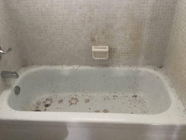 Oakland Park, FL 33309,102 Royal Park Drive #3D