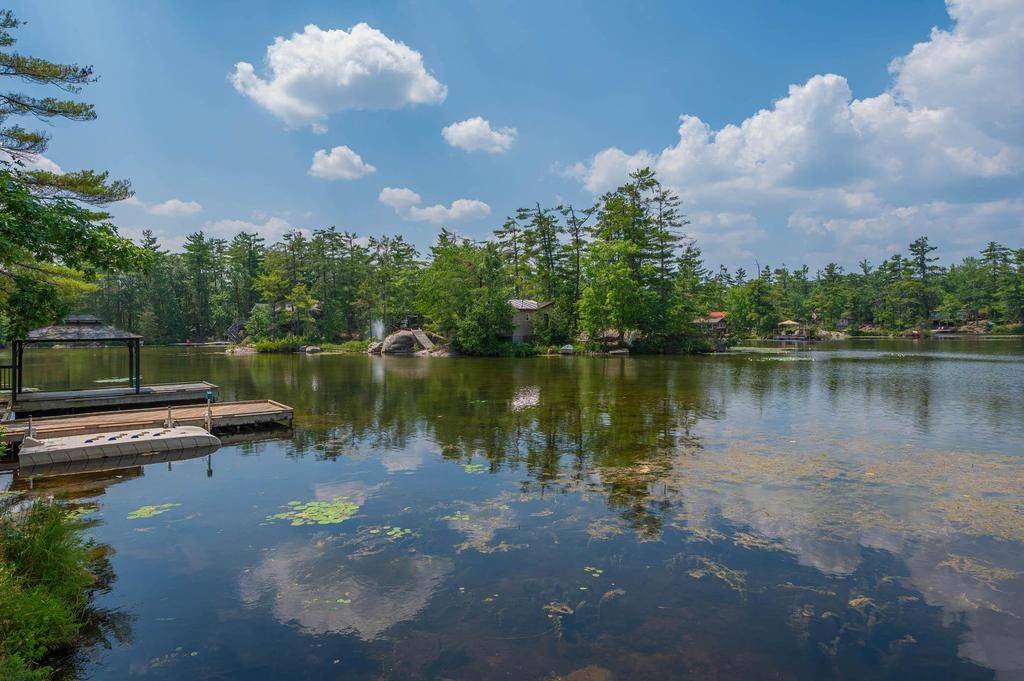 Trent Lakes, ON K0L 1J0,48 Fire Route 81 N/A