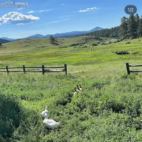 Guffey, CO 80820,36 Valley CIR