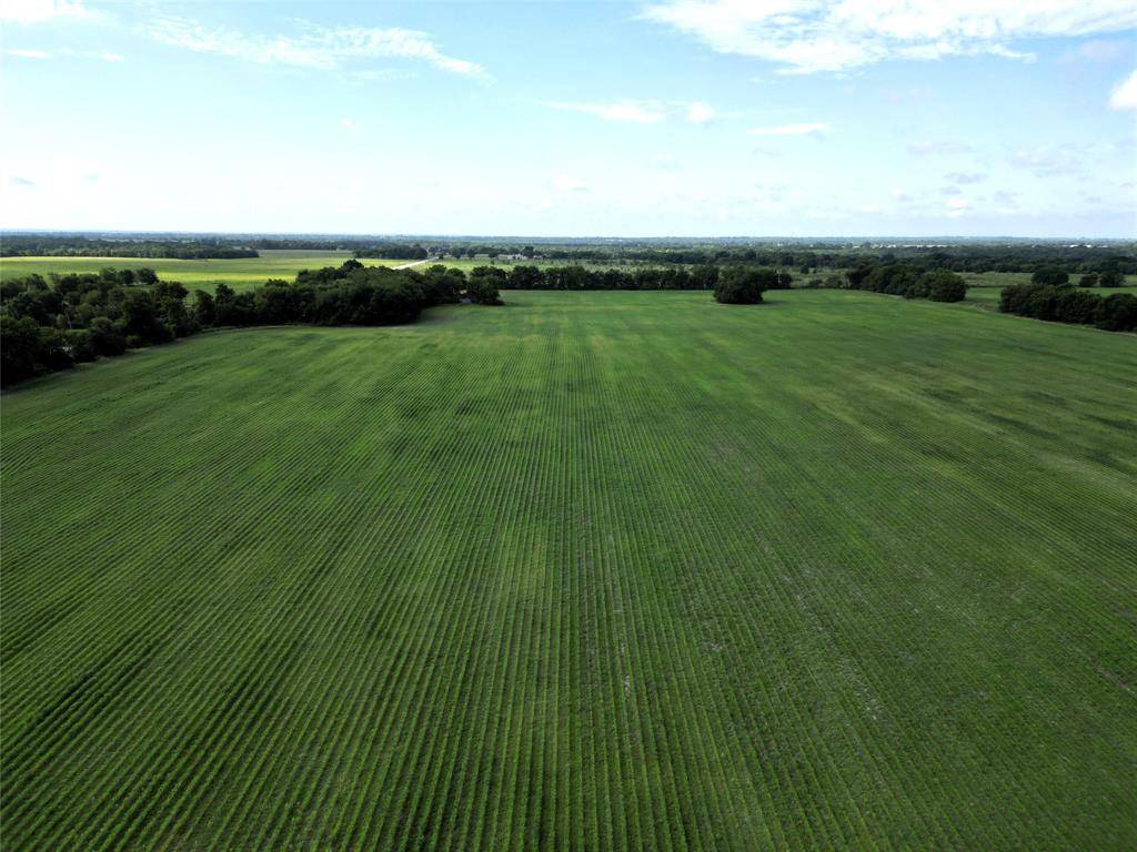 Commerce, TX 75428,121 Ac FM 904 Road