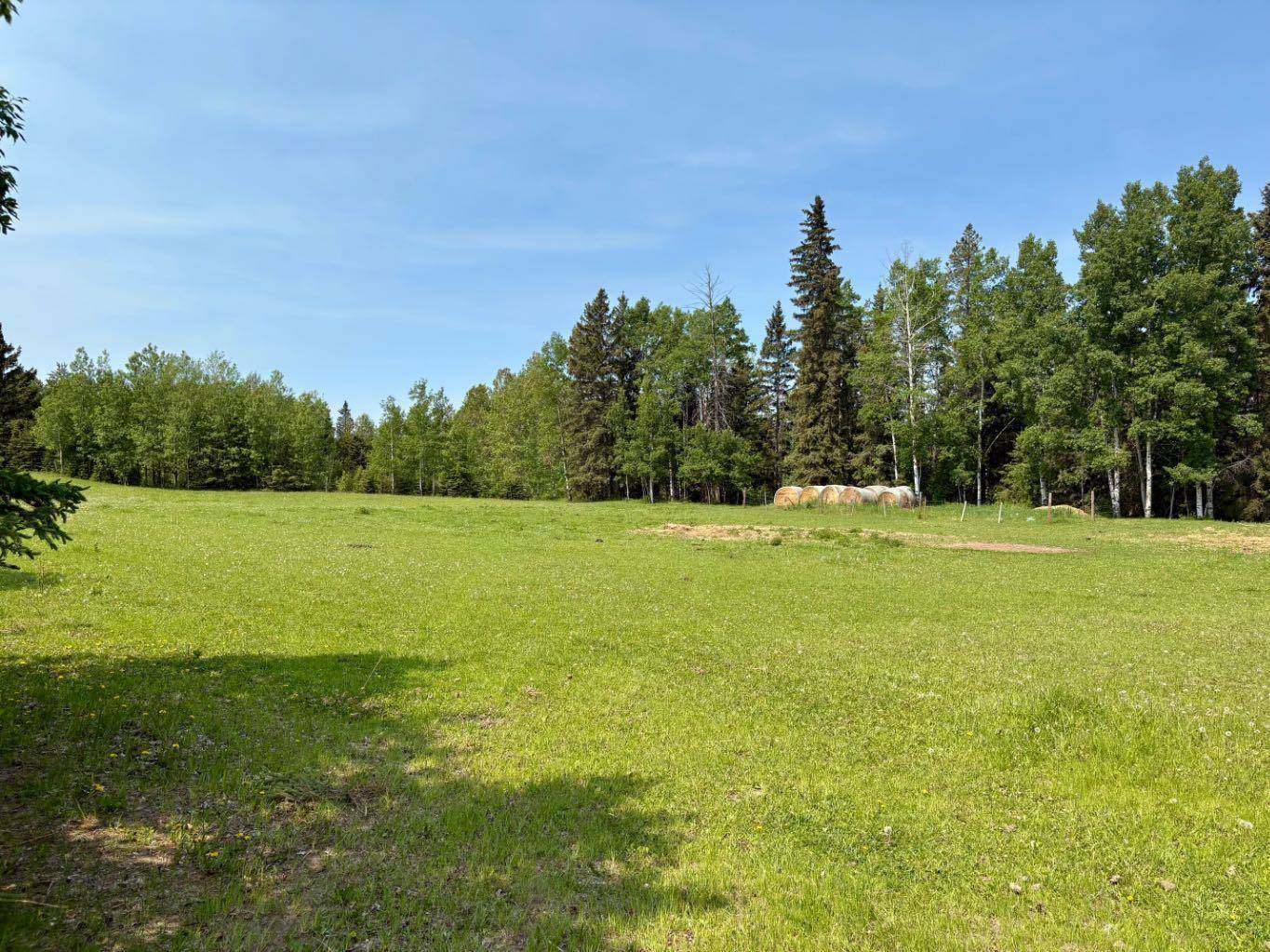 Rural Clearwater County, AB T0M0M0,364029 Range Road 6-4