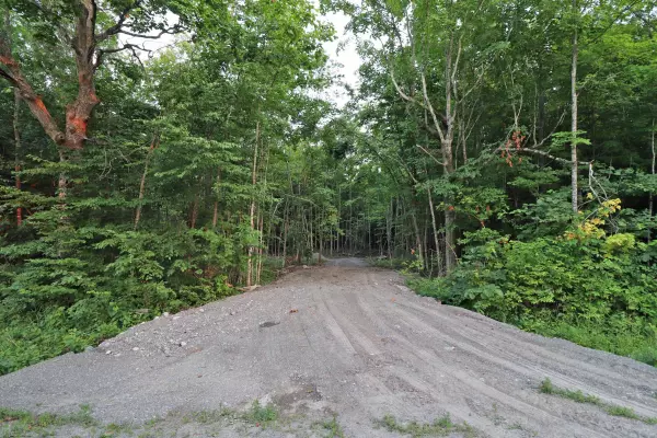 Tweed, ON K0K 2Y0,1888 Moneymore RD