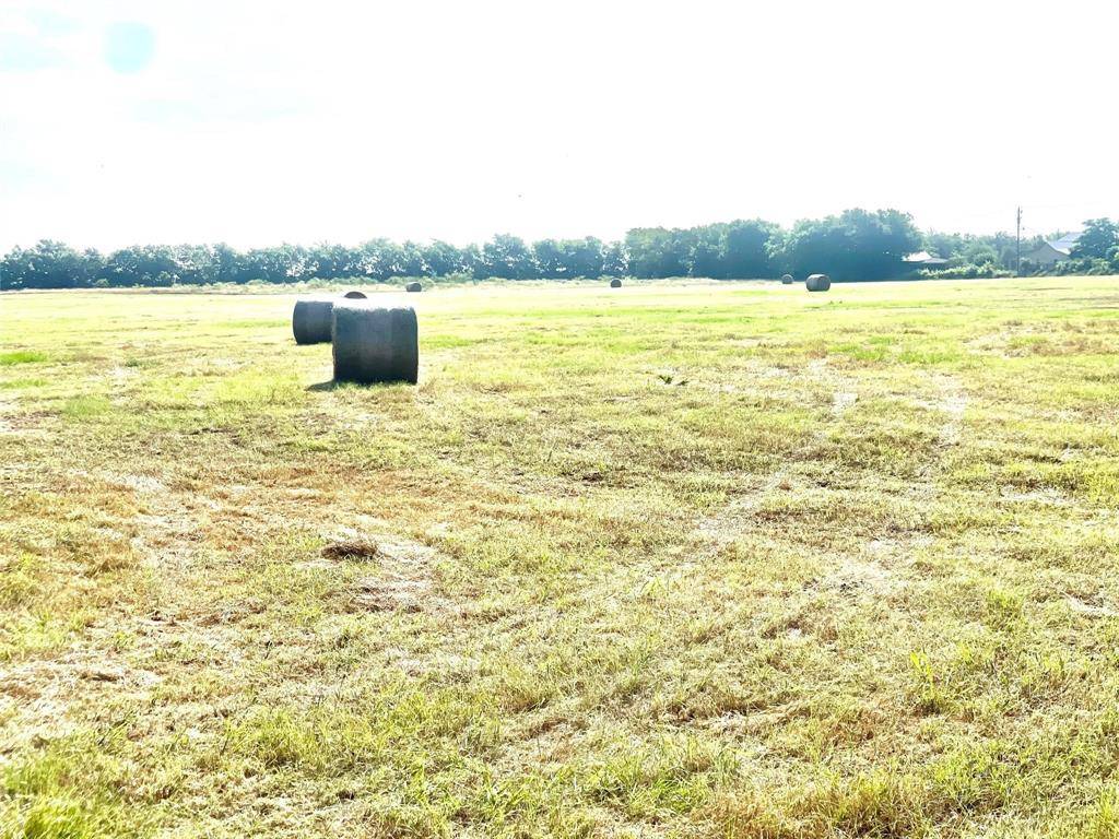 Mexia, TX 76667,TBD N Highway 171