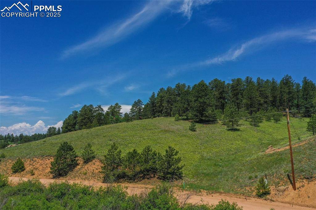781 Arapahoe Creek DR,  Florissant,  CO 80816