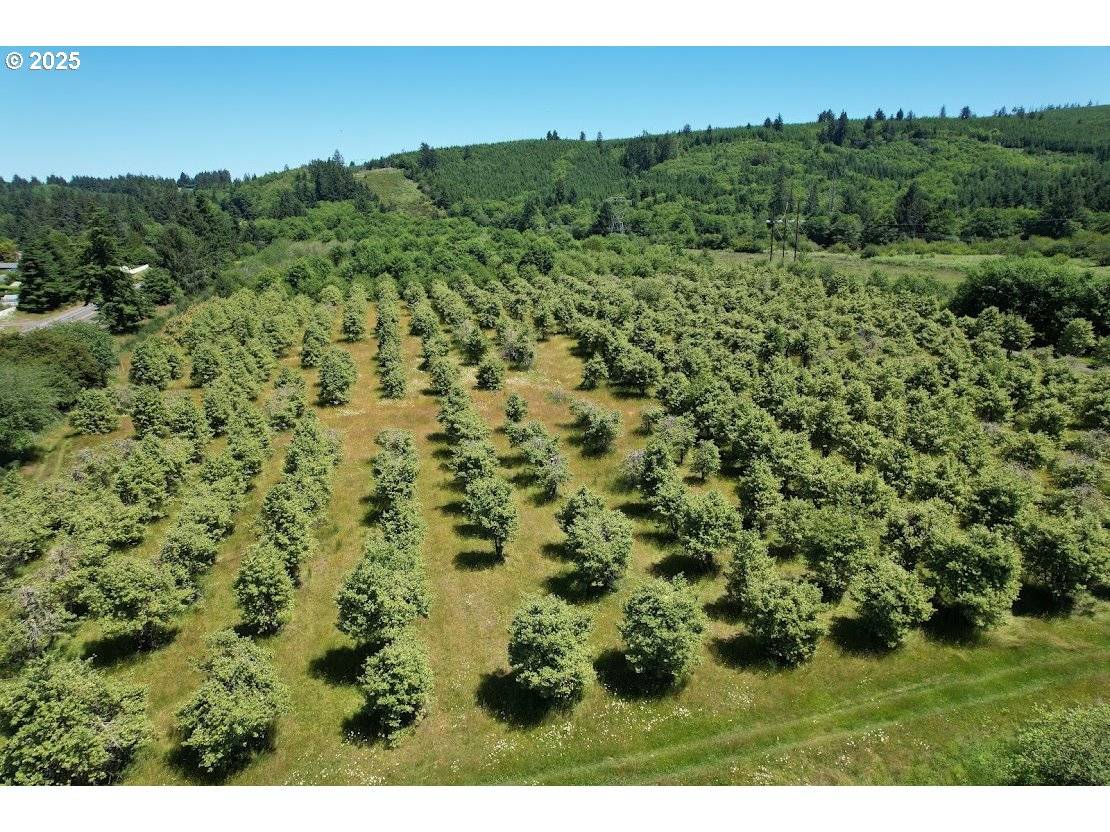 Astoria, OR 97103,VL off Hwy 30