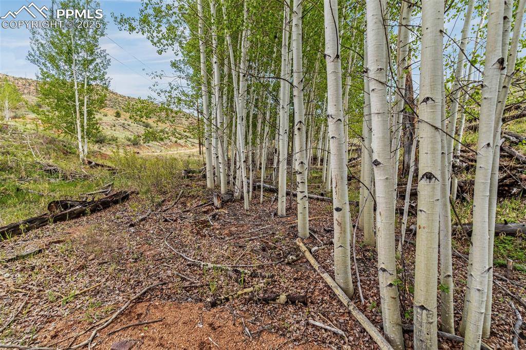 Woodland Park, CO 80863,L1 B4 Columbine CIR