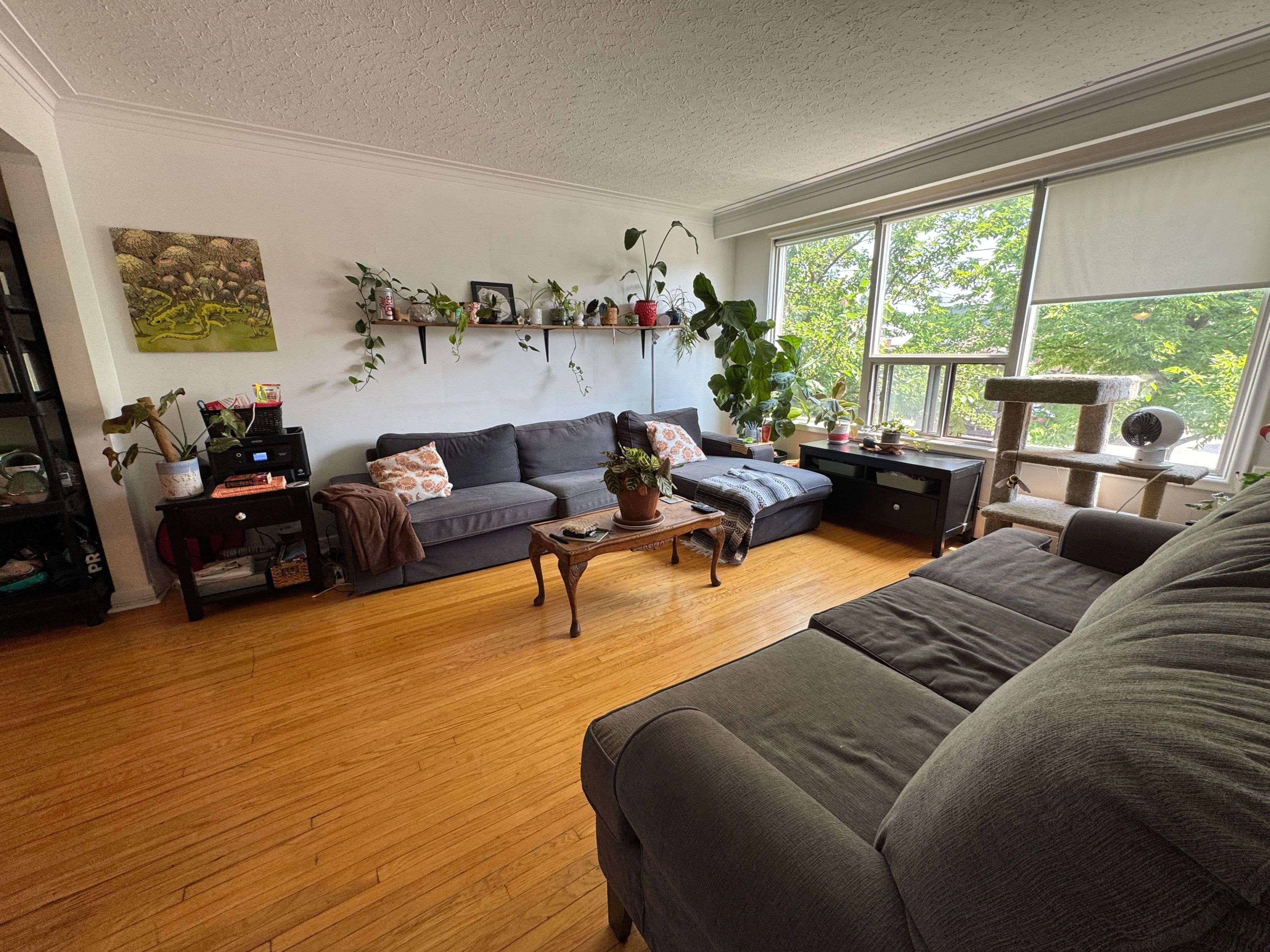 Toronto W04, ON M6B 1K5,468 Ridelle AVE #Main