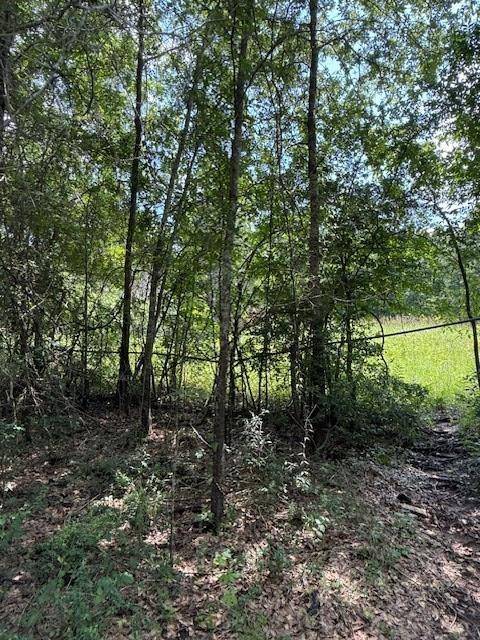 Palestine, TX 75801,119 Kickapoo