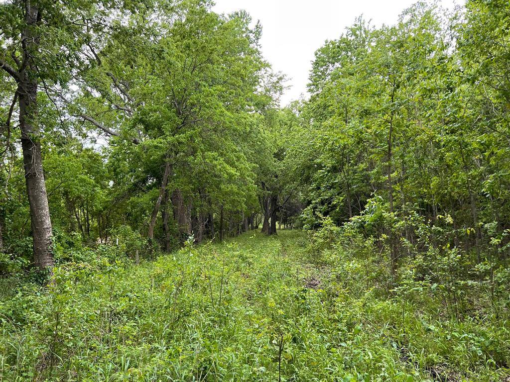 24200 County Road, Roxton, TX 75477