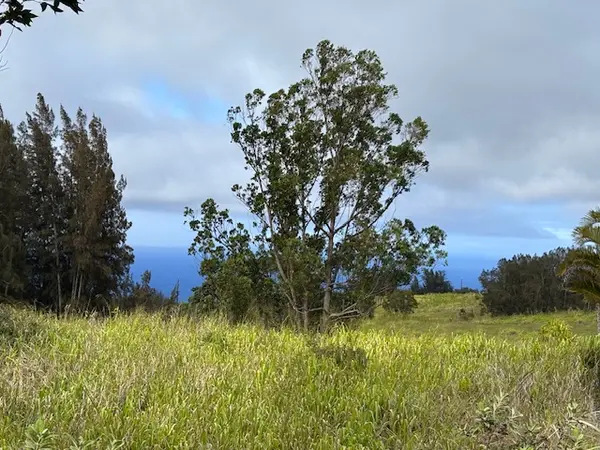 Honokaa, HI 96727,PALIKEKUA ST