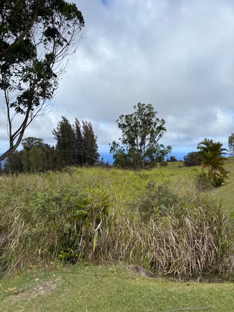 Honokaa, HI 96727,PALIKEKUA ST