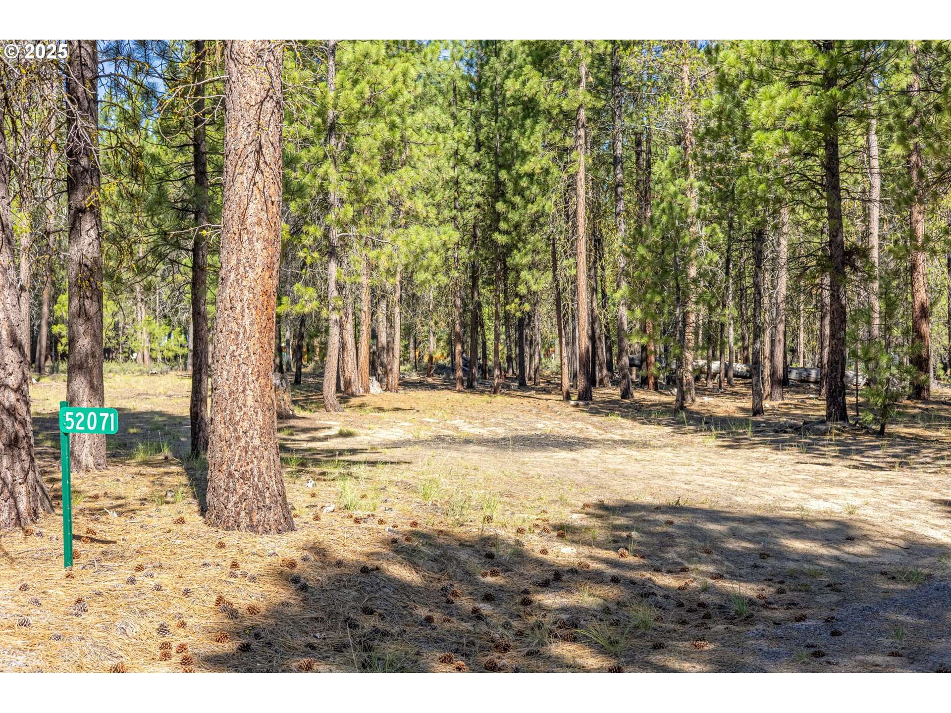 52071 Red Pine, La Pine, OR 97739