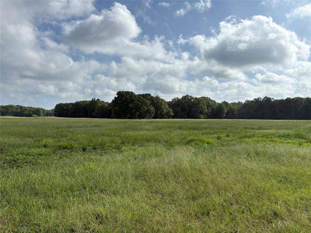 Talco, TX 75487,1411 County Road Ne 2120 #Tract 1