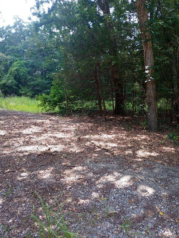 TBD Dogwood, Murchison, TX 75778