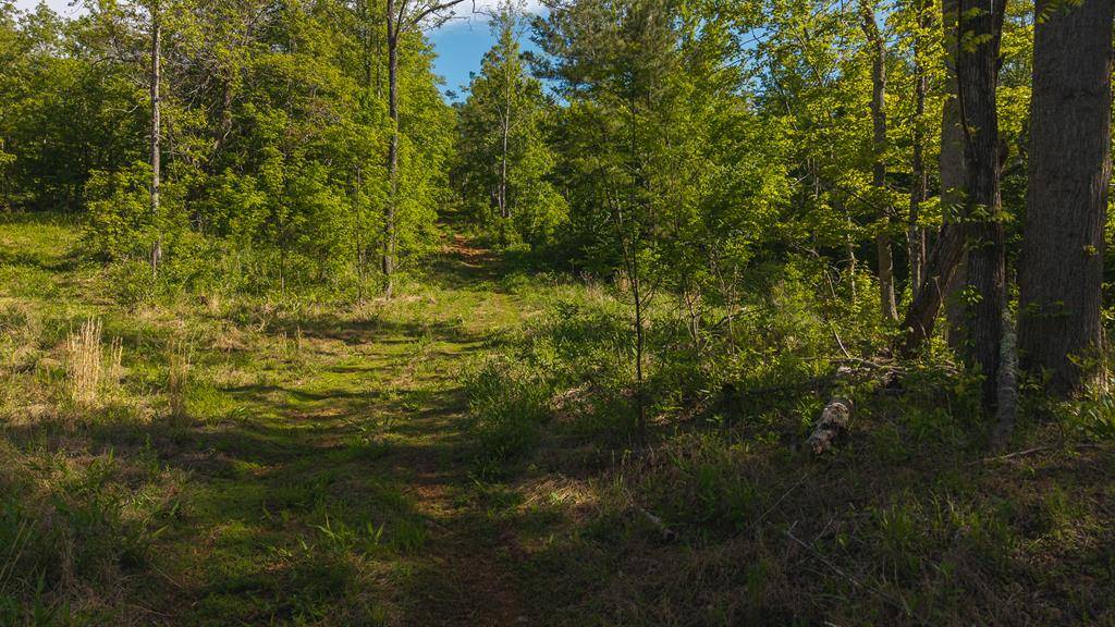 Lot 3 Shortcut Dr, Woolwine, VA 24185
