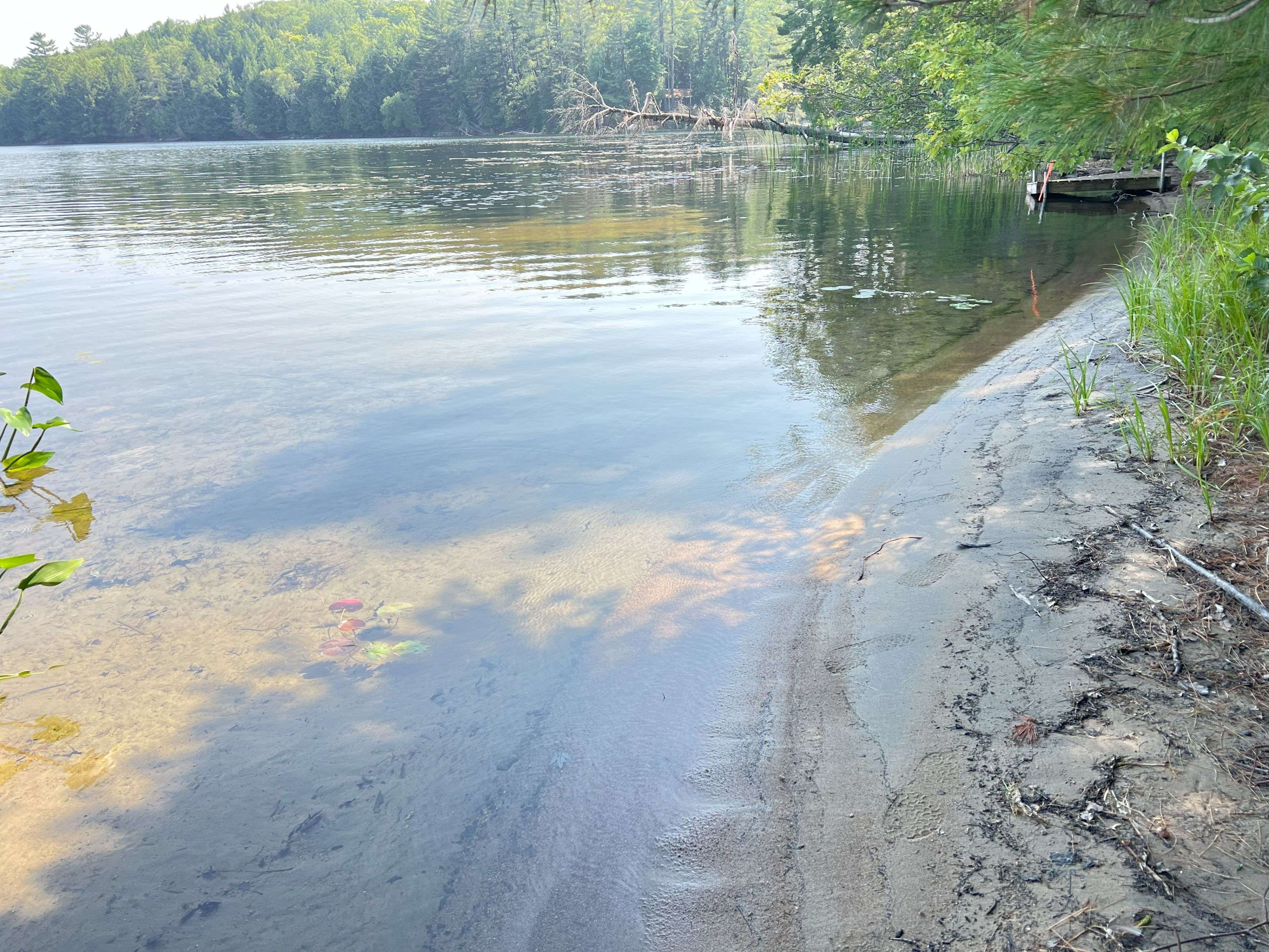 Algonquin Highlands, ON K0M 1S0,0 North Shore RD