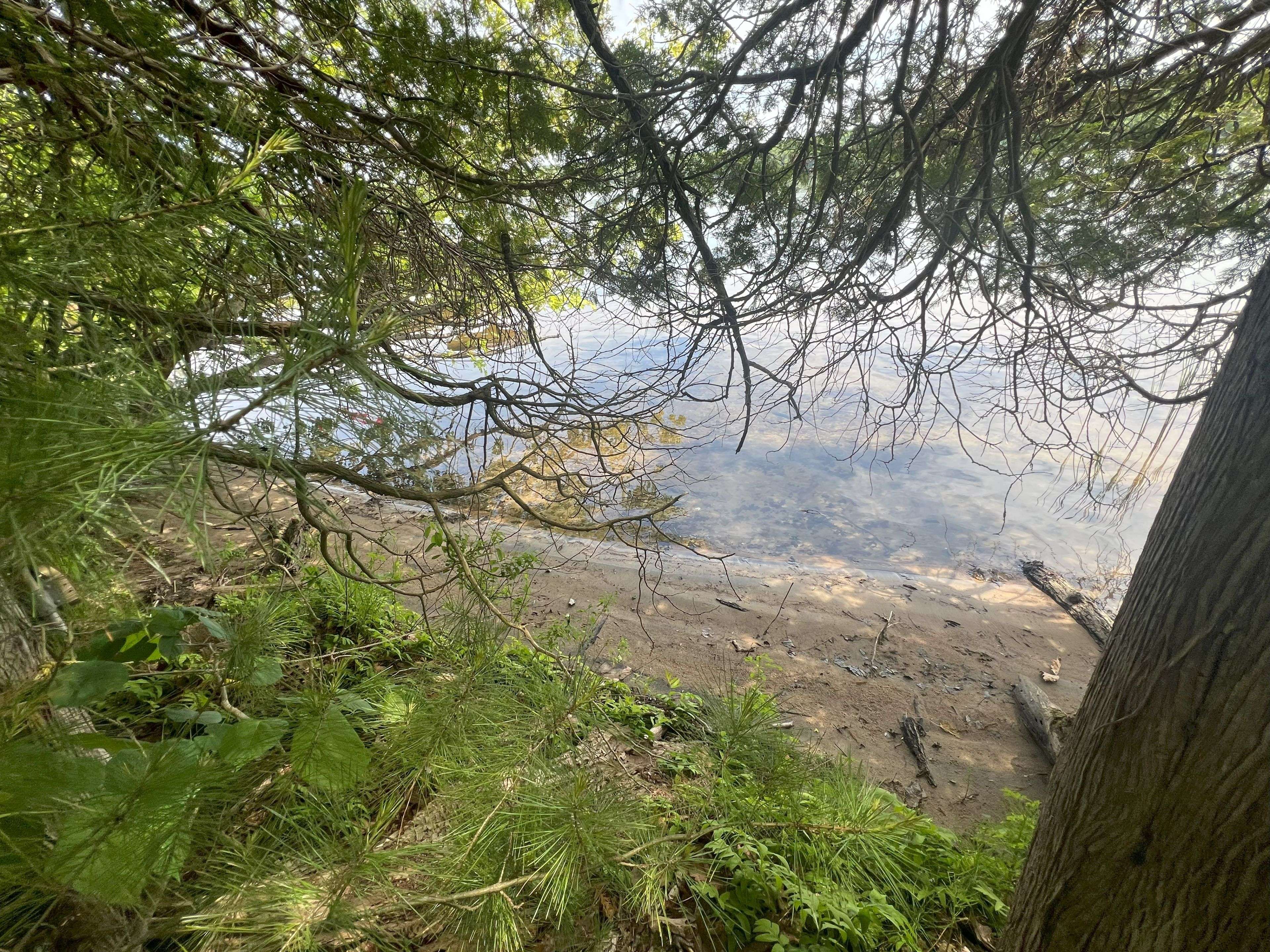 Algonquin Highlands, ON K0M 1S0,0 North Shore RD