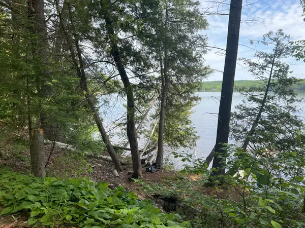 Algonquin Highlands, ON K0M 1S0,0 North Shore RD