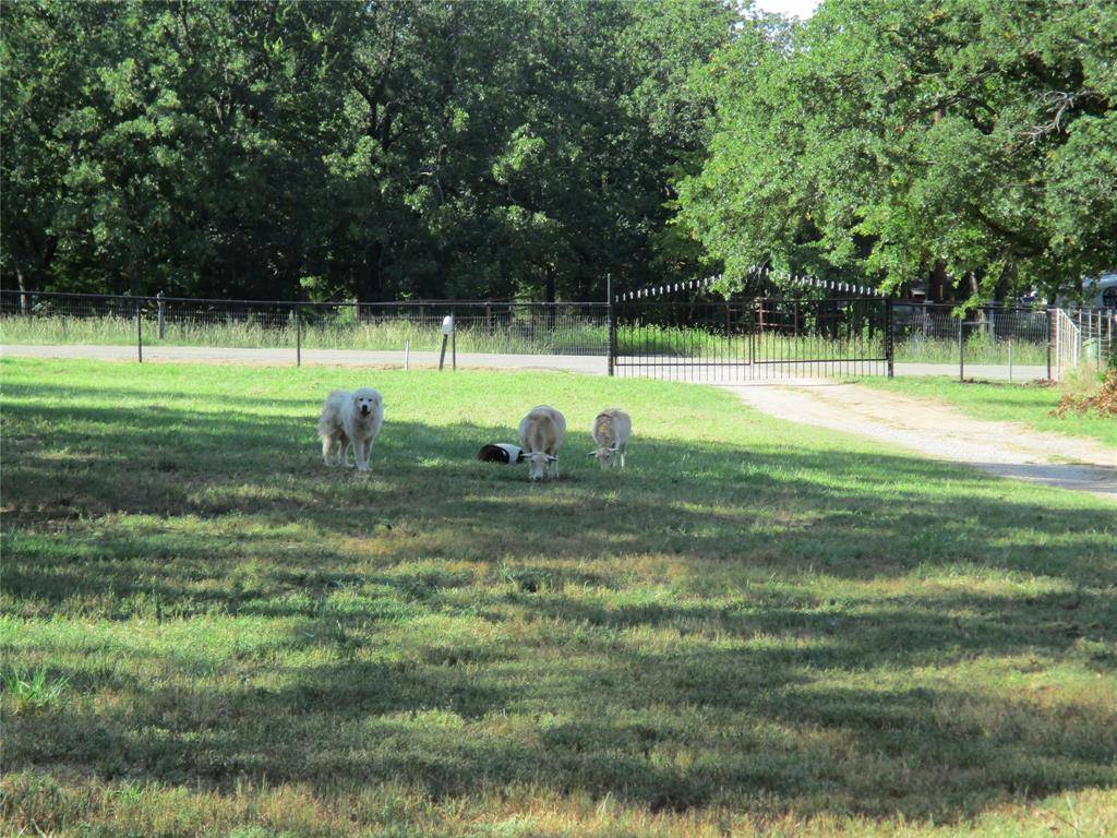 Paradise, TX 76073,214 County Road 3432