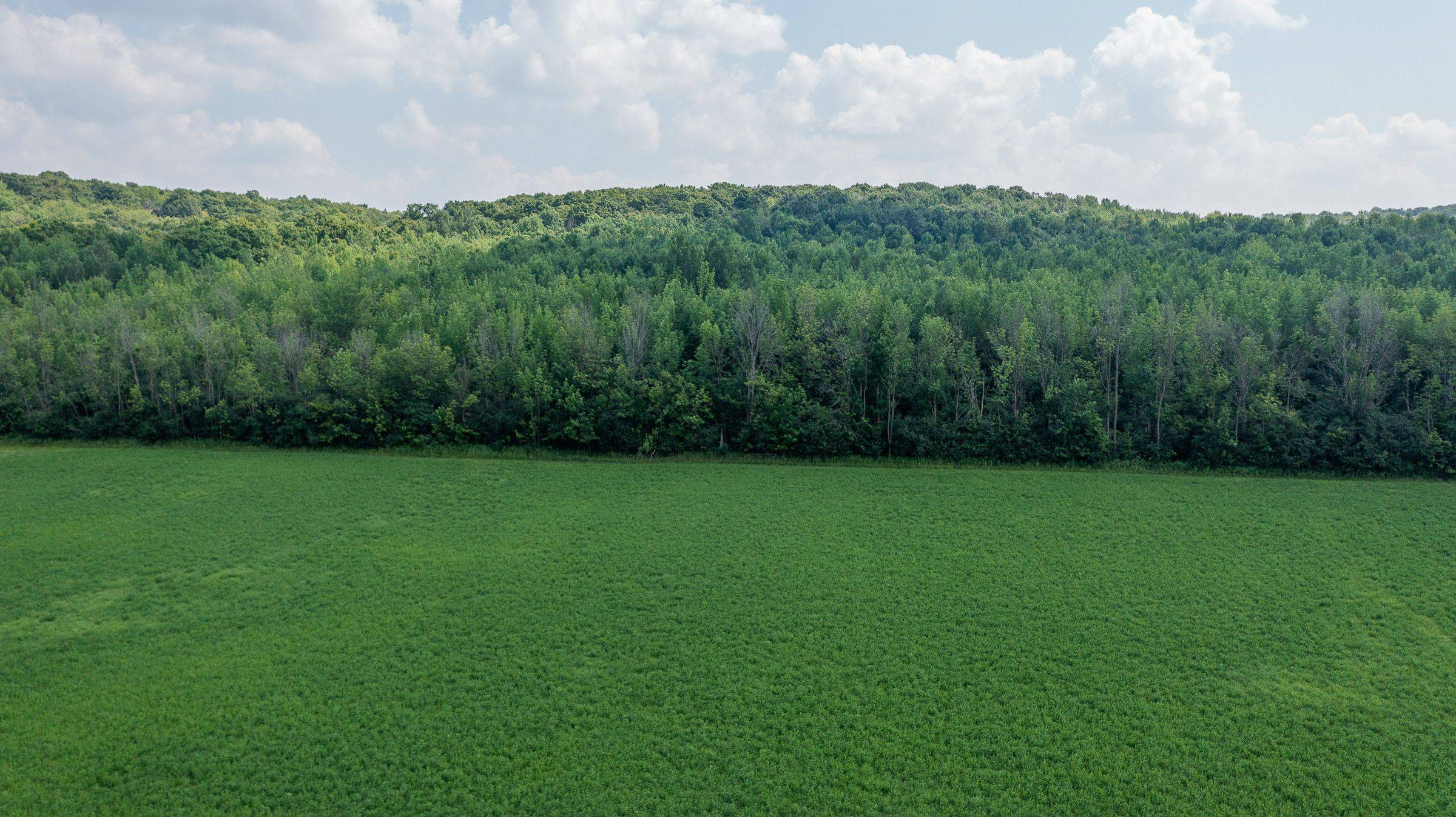 Meaford, ON N4L 1W5,CON 11 PT LOT 7, Sideroad 8 N/A