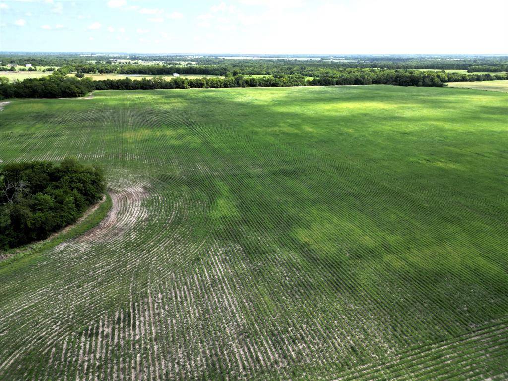Klondike, TX 75440,48Ac CR 2165