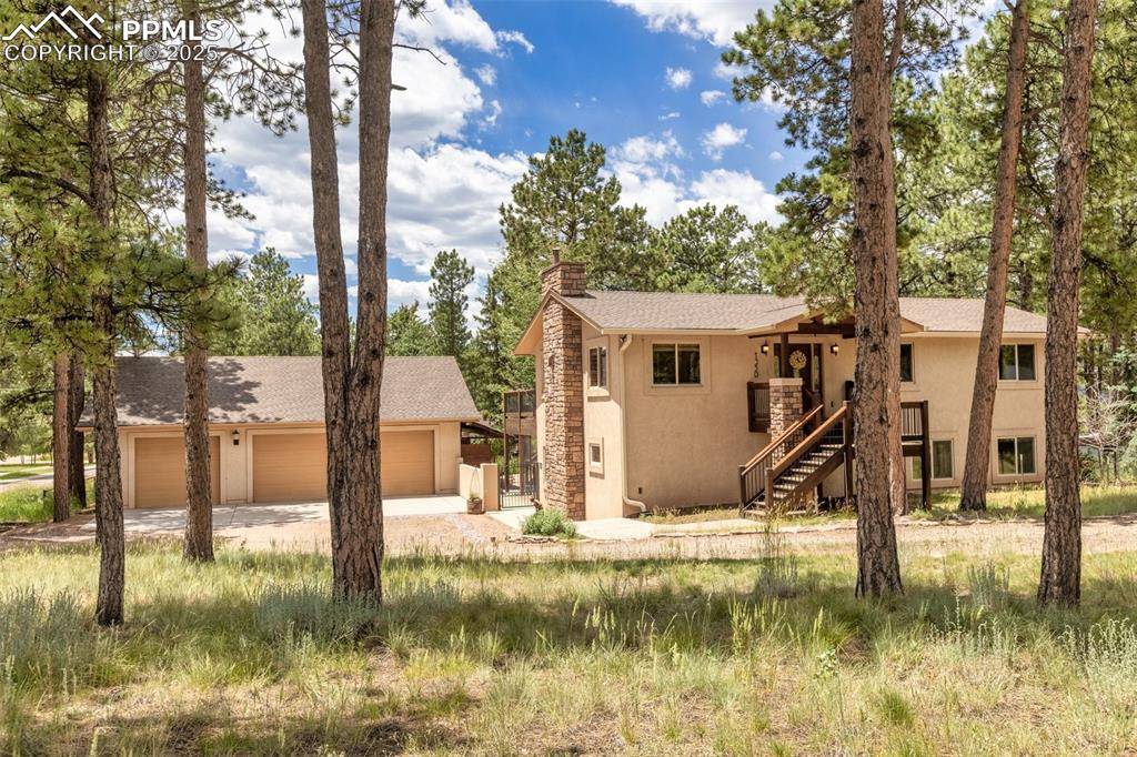 Woodland Park, CO 80863,1350 Chippewa TRL