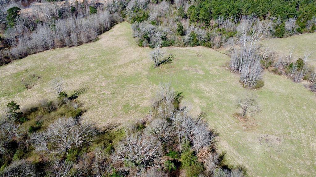 Hughes Springs, TX 75656,TBD HWY 11