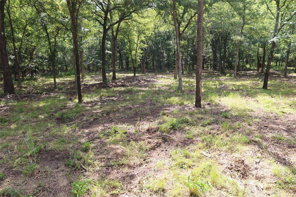 Bowie, TX 76230,381 Ranchview Court