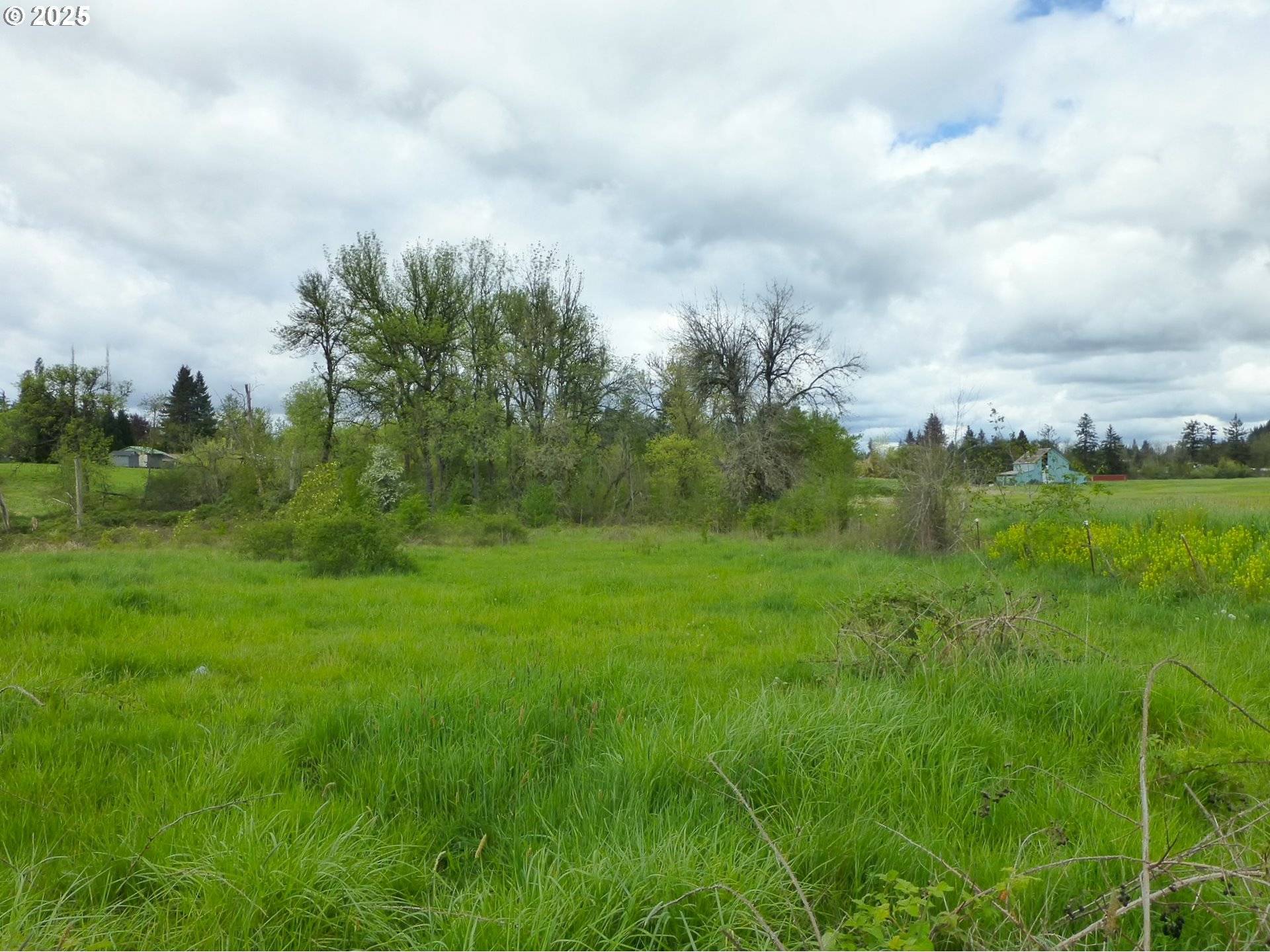 Happy Valley, OR 97086,10960 172nd