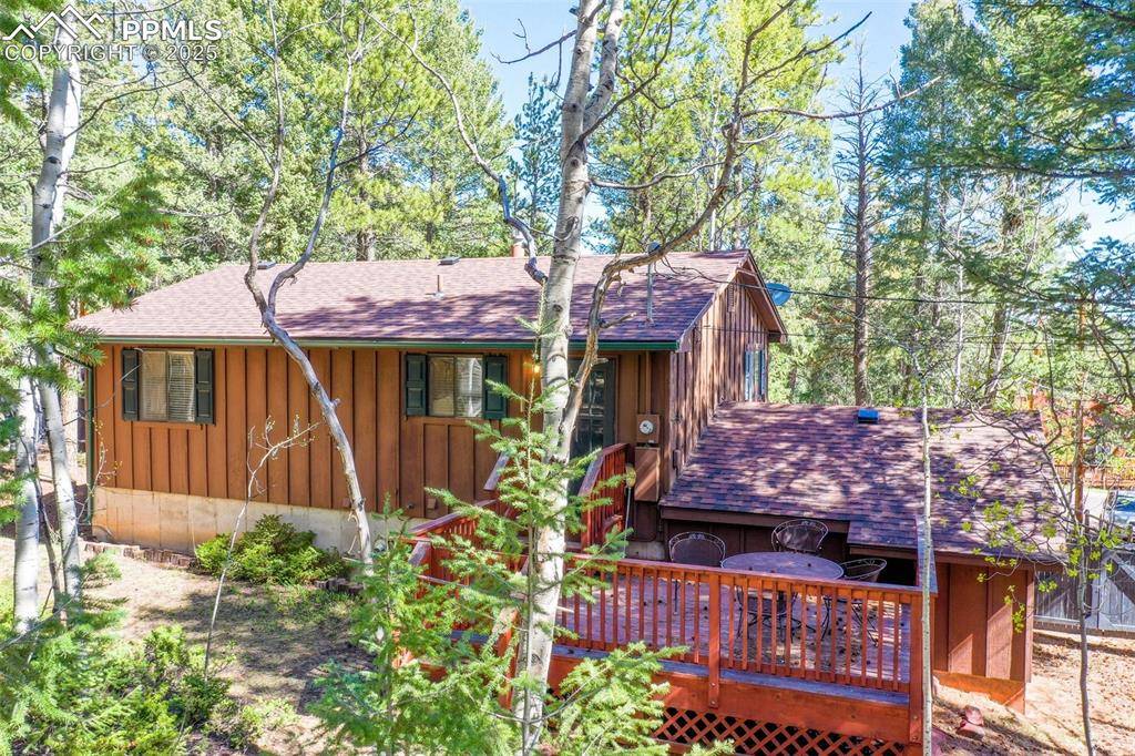 Woodland Park, CO 80863,1321 W Midland AVE