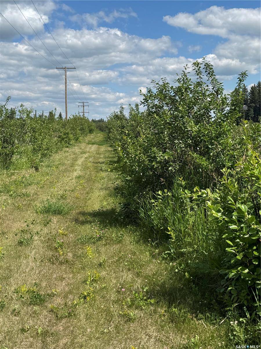 Norquay, SK S0A 2V0,Rural Address
