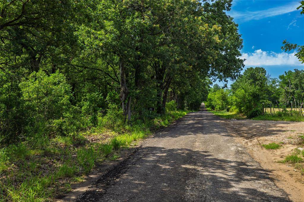 Dike, TX 75437,604 (Tract 1) County Road 3561
