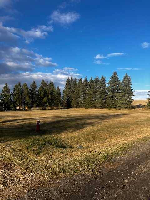 228 2 ST South, Huxley, AB T0A 1X0