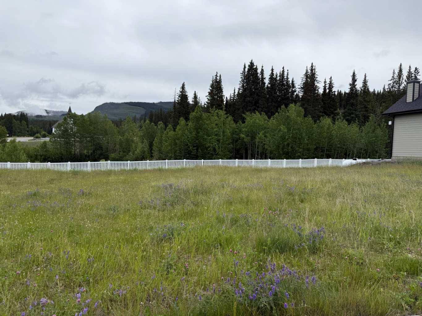 343 Elizabeth AVE, Nordegg, AB T0M 2H0