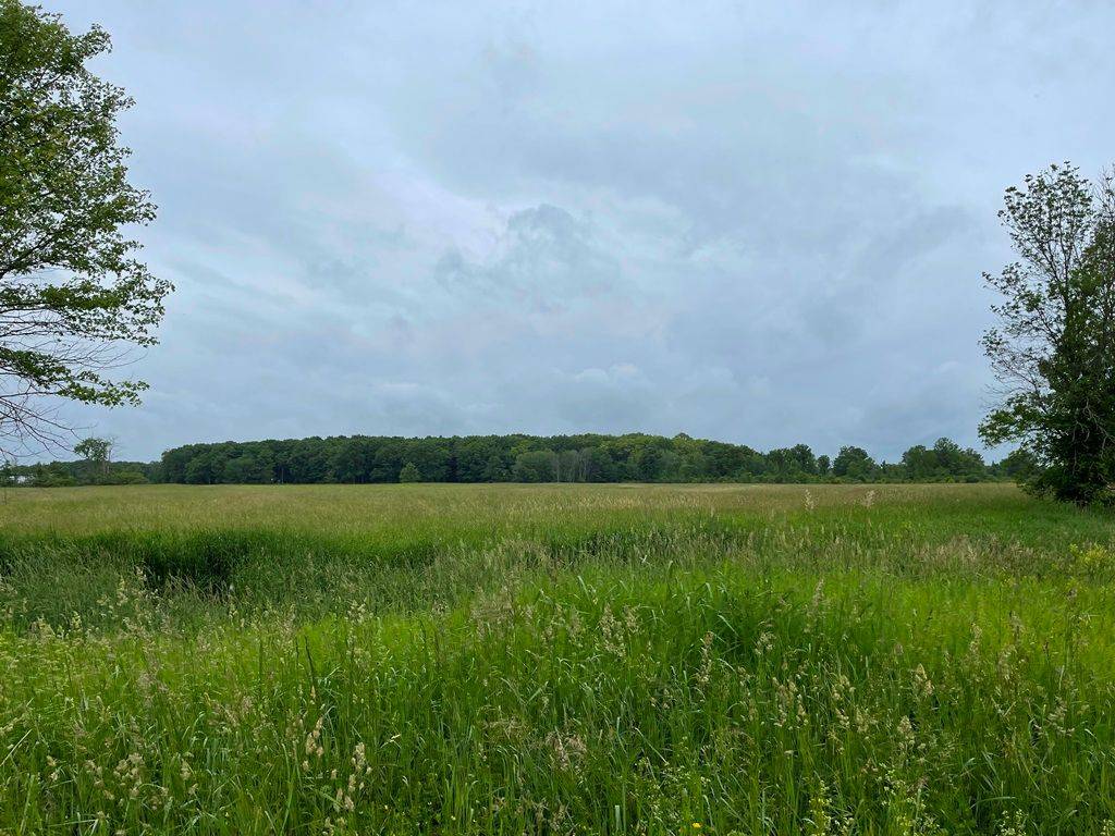 Severn, ON L0K 1E0,1744 BALKWILL Line