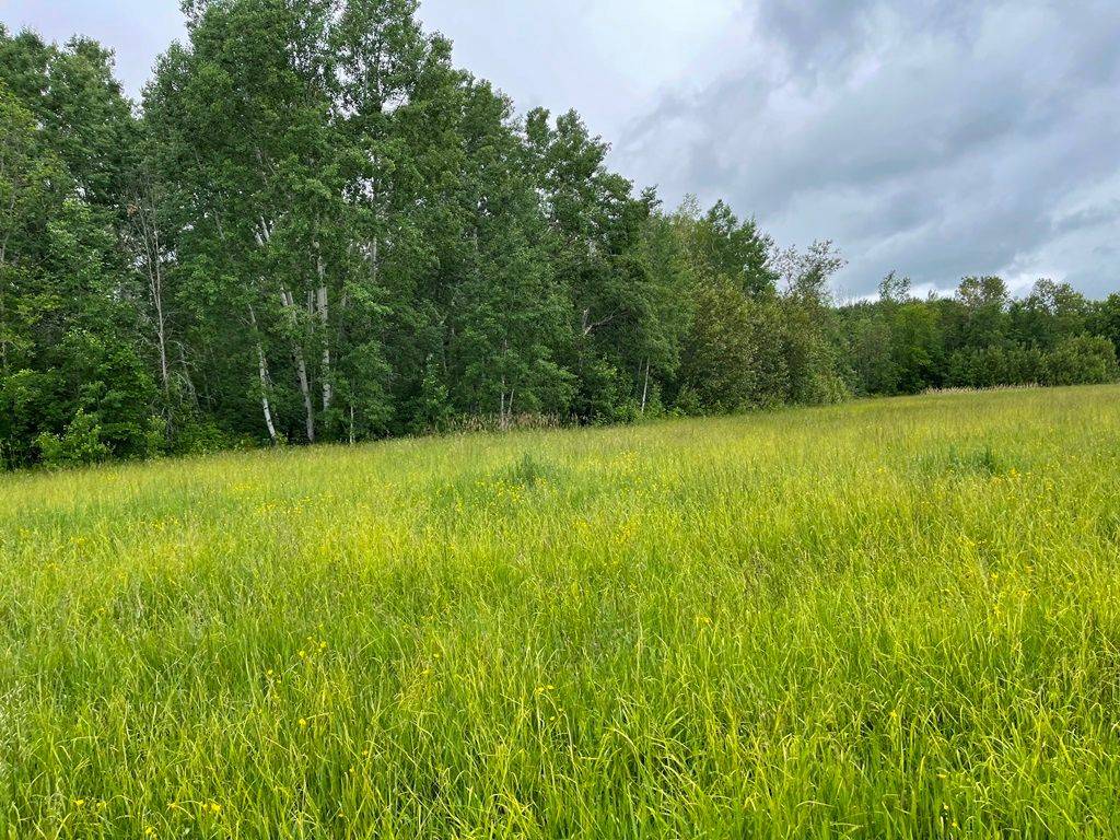 Severn, ON L0K 1E0,1744 BALKWILL Line